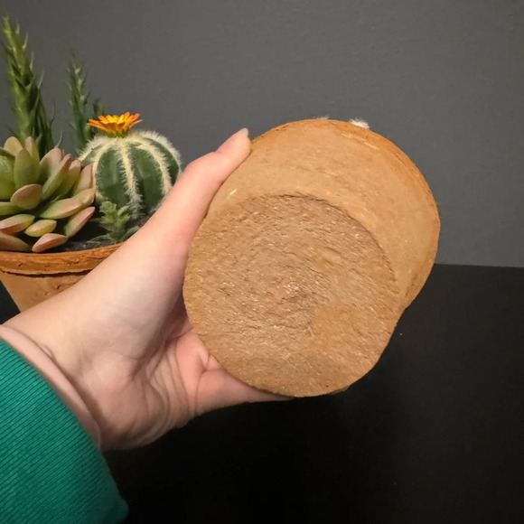 Fake succulent decor set of 2 - Picture 6 of 8